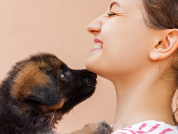Adoção de animais domésticos é opção em meio ao isolamento social