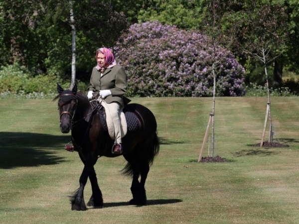 Elizabeth II anda de pônei após flexibilização de isolamento no Reino Unido