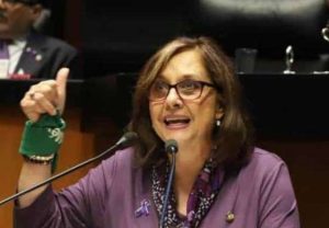 Senadora esquece câmera ligada e aparece nua em videoconferência