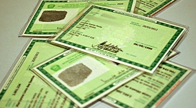 Documentos de Identidade, saiba onde pegar o seu RG em Palmeira dos Índios