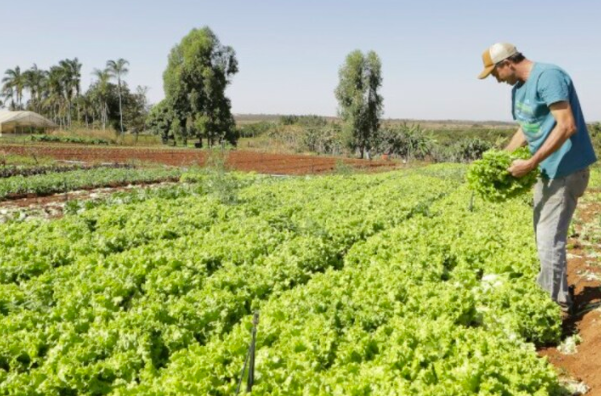 Projeto de socorro a agricultores familiares é aprovado pela Câmara dos Deputados
