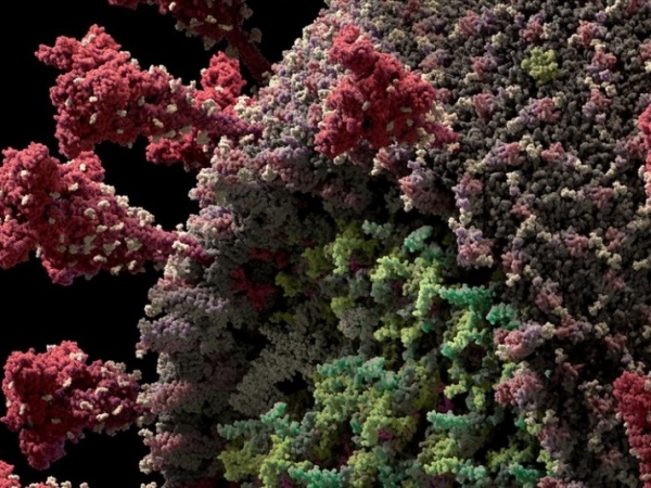 Mundo registra mais de 1,1 milhão de novos casos de Covid-19 em 2021