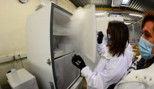 Criança desliga refrigerador e vacinas contra covid são perdidas no ES