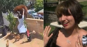 Jovem que empurrou ursa de muro diz: ‘Não sabia que era uma ursa’