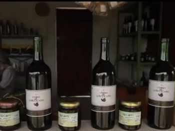Vinho produzido em Palmeira dos Índios é destaque na Globo Nordeste