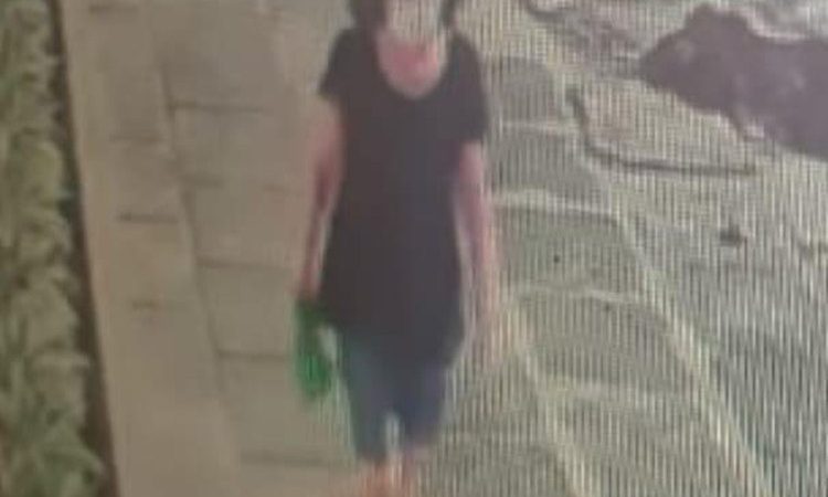 Polícia encontra corpo de mulher que pode ser de idosa desaparecida