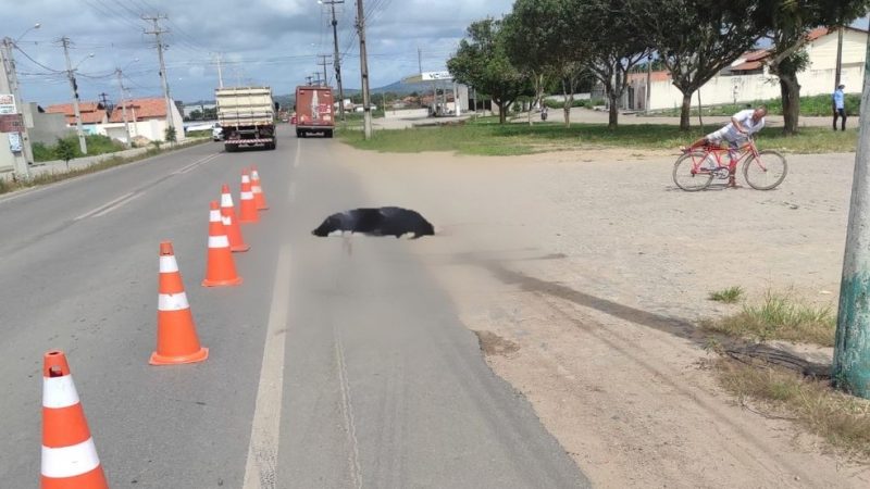 Homem morre atropelado por caminhão ao tentar cruzar rodovia em Arapiraca