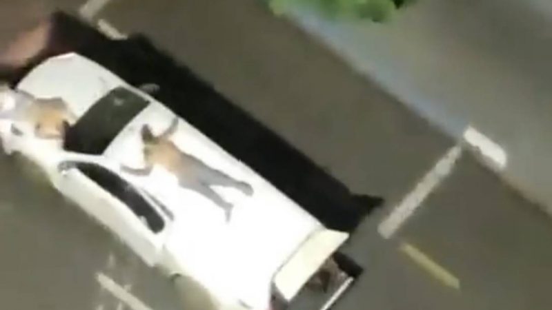 Bandidos atacam bancos e fazem reféns em Araçatuba; há 3 mortos