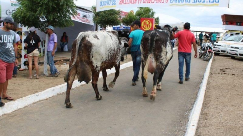 Retomada da Expo Bacia Leiteira é conquista para o setor