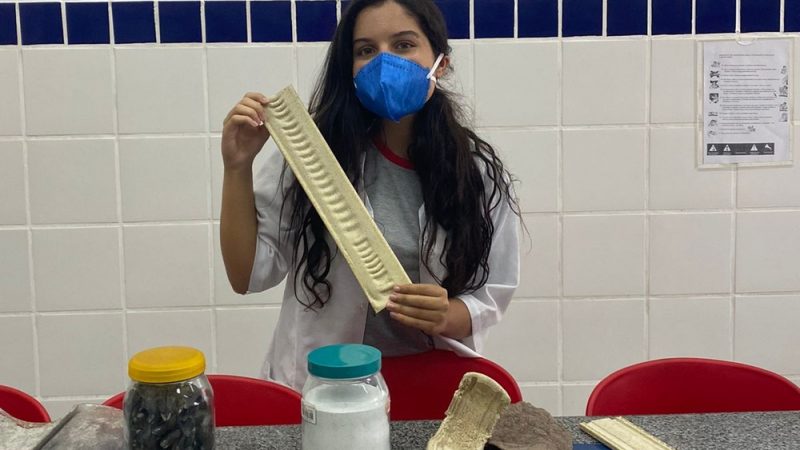 Estudante alagoana é a única da América Latina entre os 10 finalistas do Global Student Prize 2021