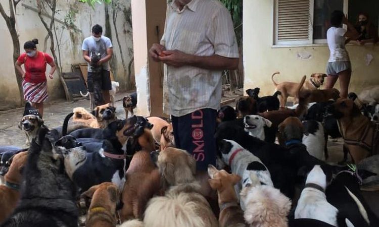 Há 10 dias sem comer, dono de abrigo faz greve de fome a favor dos animais