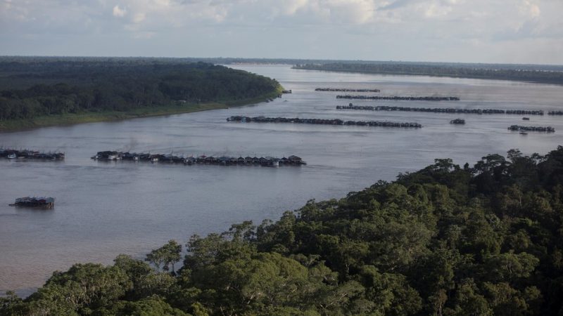 Mourão diz que Marinha e PF preparam ação em região invadida por garimpeiros no Amazonas