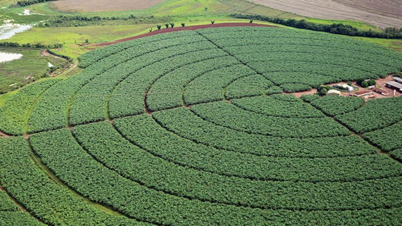 Governo quer aumentar ações de promoção do agro brasileiro no exterior