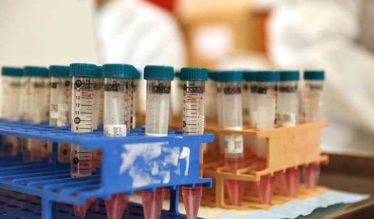 Indonésia é primeiro país a autorizar vacina anticovid da Novavax