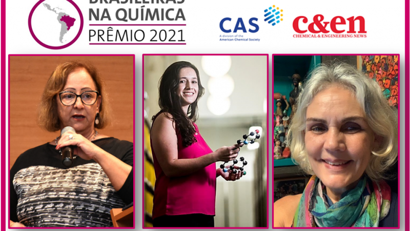 Pesquisadora da Universidade Federal de Alagoas vence o Prêmio Mulheres Brasileiras na Química