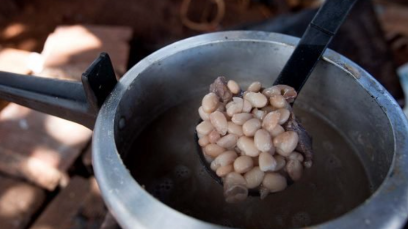 Veja quem tem direito ao Auxílio Brasil e de quanto será o benefício