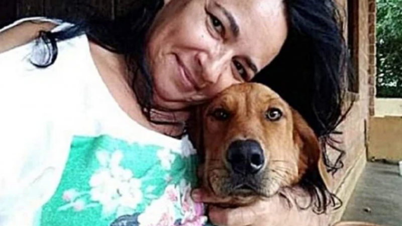 Cachorro não aguenta a saudade e anda 40km para reencontrar donos