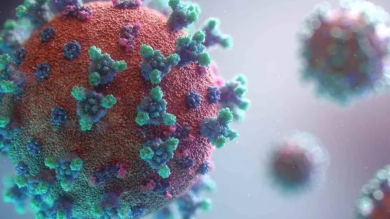 Por que a variante Ômicron representa um “risco global muito alto”