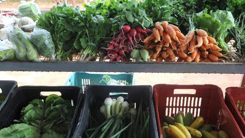 Dia Mundial do Vegano é celebrado neste dia 1º de novembro