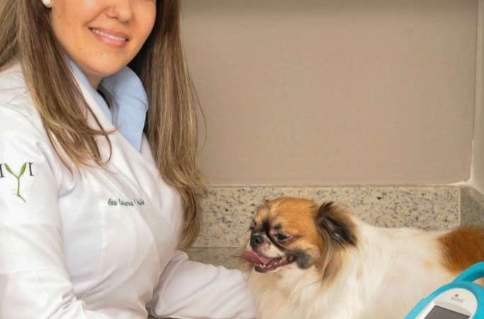 Veterinária aponta tratamento inovador destinado a animais com câncer