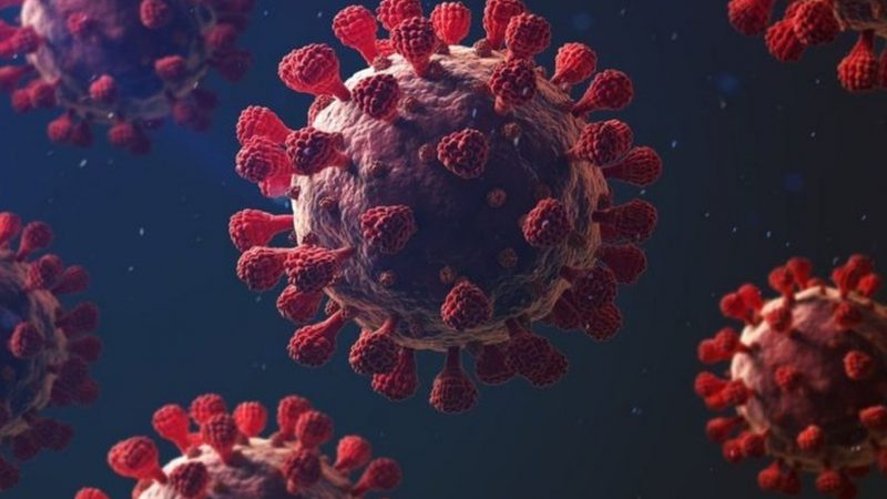 Alagoas registra 15 casos confirmados e nenhuma morte por Covid-19 em 24h