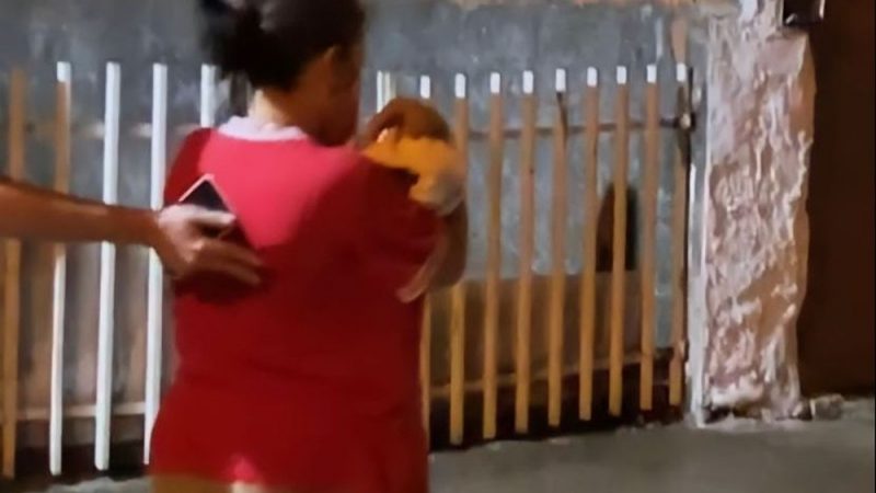 Polícia Civil diz que mulher que sequestrou recém-nascida em Maceió tinha acabado de perder um filho