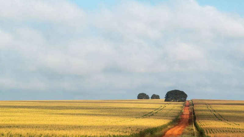 Inflação do Brasil é a 3ª maior em ranking com as principais economias do mundo