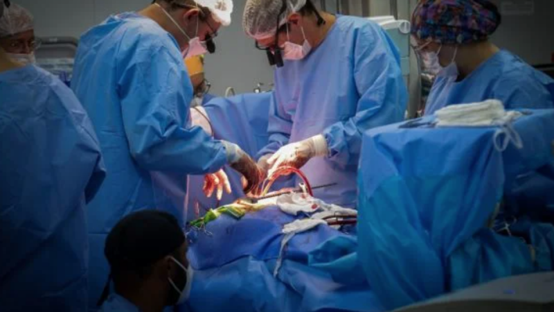 Inédito: médicos fazem 1° transplante de coração de porco para humano