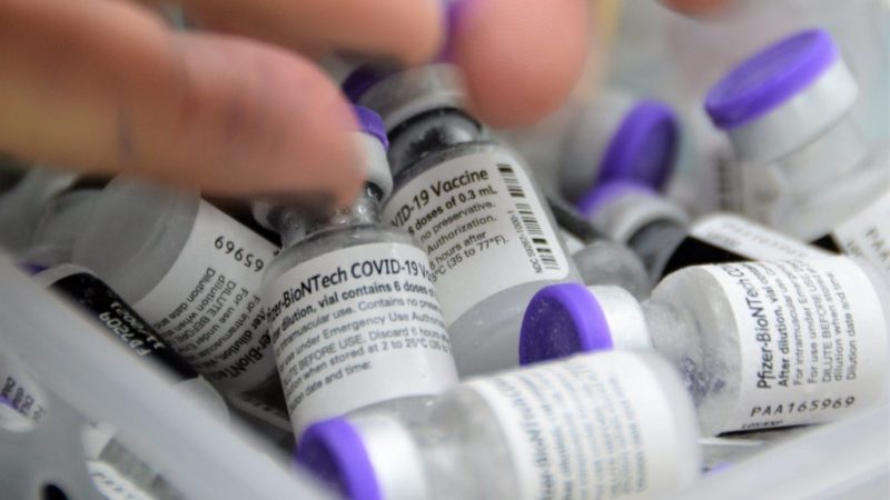 Entenda as diferenças entre vacina da Pfizer para crianças e adultos