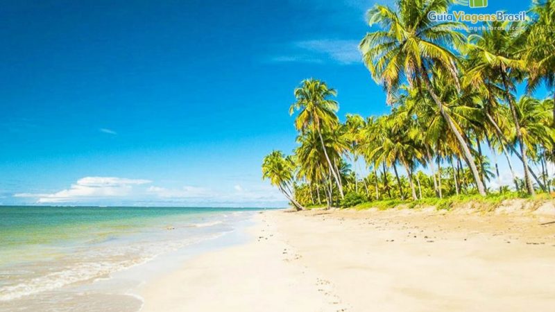 Praia de Patacho recebe o “Pure Beach”, torneio de Beach Tennis mais sustentável do mundo