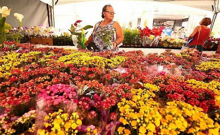 Feira de Flores de Holambra chega a Maceió nesta sexta-feira, 4