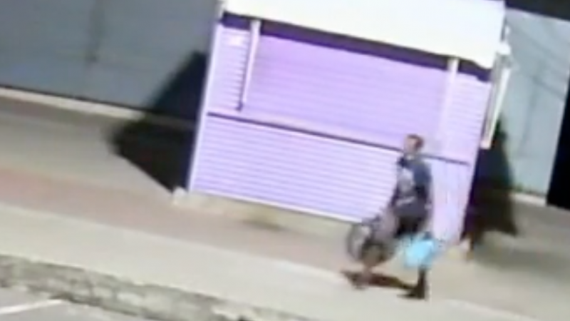 VÍDEO – Câmera de segurança flagra momento de furto a sorveteria em Palmeira