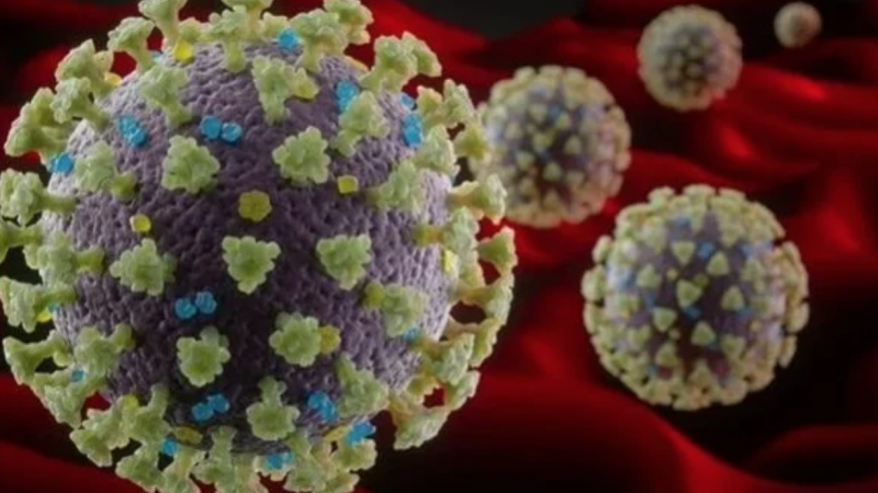 Número de mortes pela Ômicron é “mais do que trágico”, diz OMS