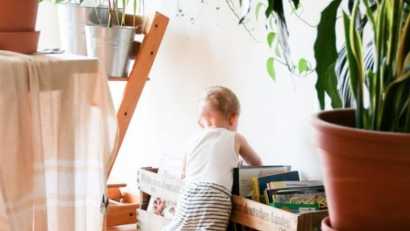 Para brasileiros, casa própria é mais importante que religião e filhos