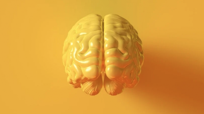 Cientistas conseguem curar vício em drogas com cirurgia no cérebro