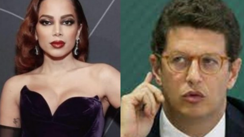 Anitta rebate Ricardo Salles: “Meu cu serve mais à sociedade que você”