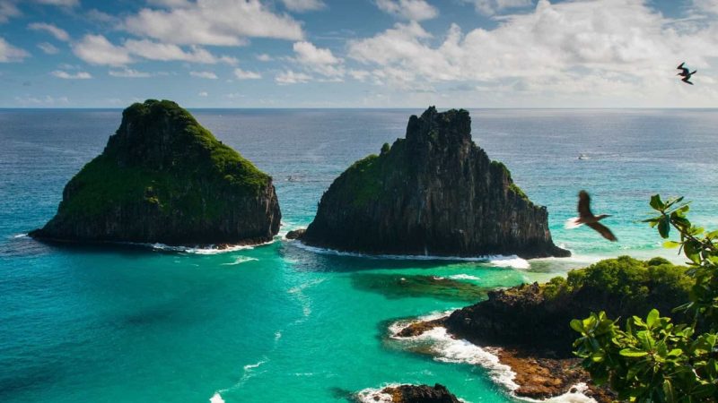 Menina de 8 anos mordida por tubarão em Fernando de Noronha tem perna amputada