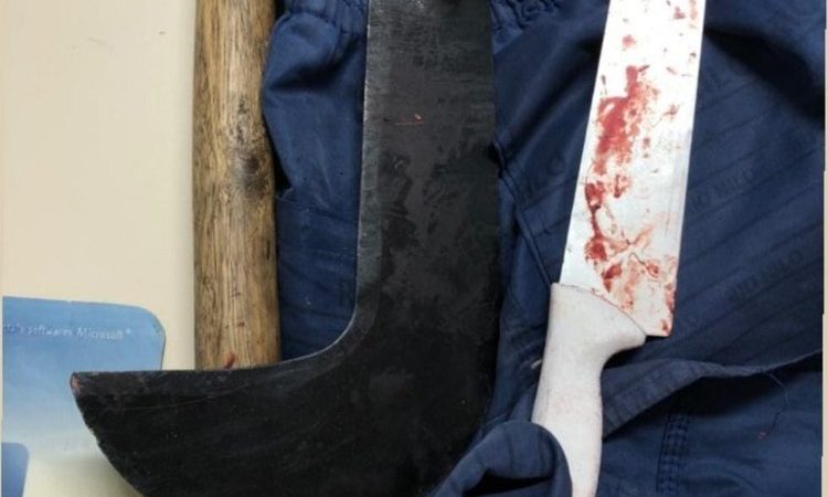 Filho mata pai no município de Viçosa por causa de R$ 2, revela delegado