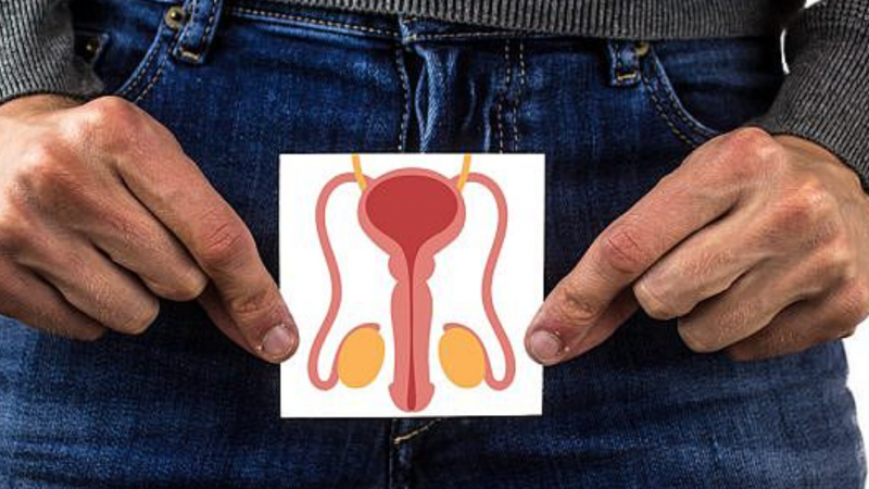 Covid-19: estudos mostram que vírus pode infectar pênis, testículos e próstata