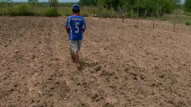 Alagoas tem 39 municípios em emergência por causa da seca ou estiagem
