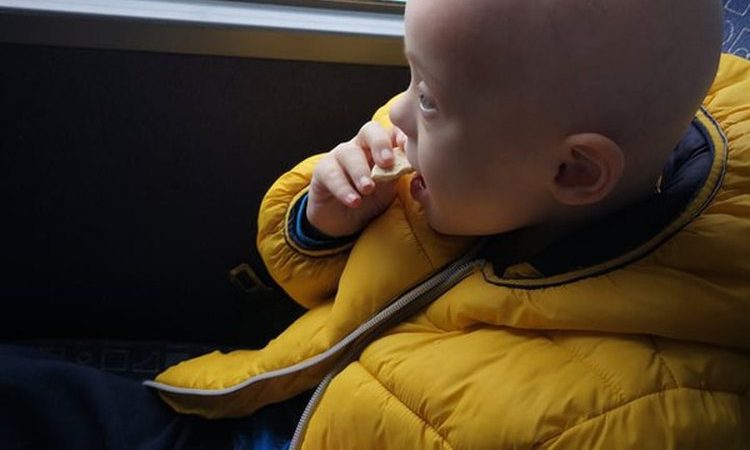 Aos 4 anos, ucraniano com síndrome de Down e leucemia foge da guerra em ônibus sem recursos: ‘Ficamos sem antibióticos’, diz mãe