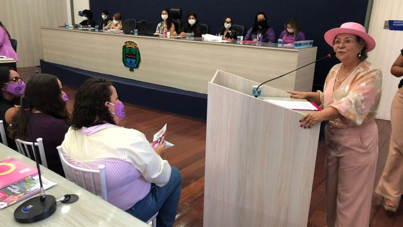 Audiência pública debate políticas públicas e o protagonismo das mulheres