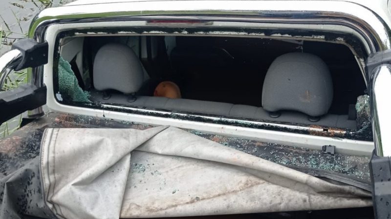 Caso Breno Palladino: exame do IML comprova que jovem foi morto com requintes de crueldade