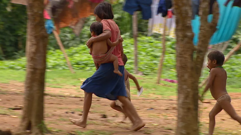 Após relato de abuso sexual de meninas ianomâmi, MPF diz que pediu à União novas ações policiais