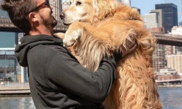 Corpo de influenciador morto nos EUA será trazido para o Brasil