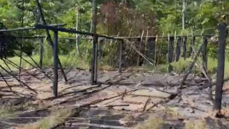 Organização indígena pede ao STF novas medidas de proteção na Terra Yanomami