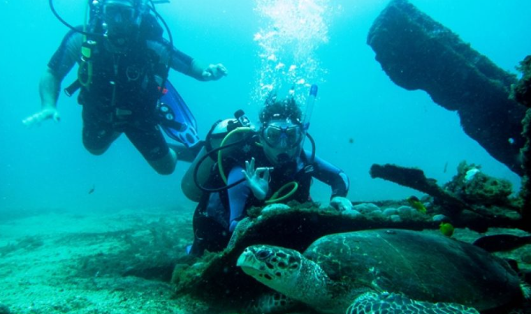 Maceió é um dos destinos mais procurados do Brasil para viagens sustentáveis