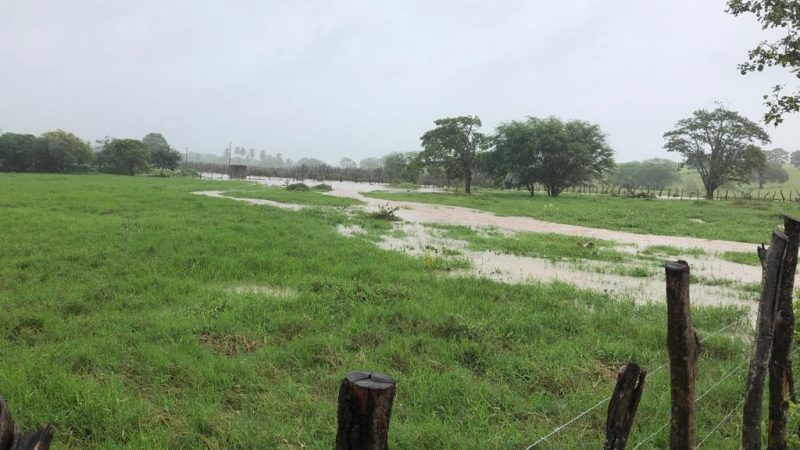 Populacão de Palmeira dos Índios deve ficar atenta à previsão de mais chuvas para a região