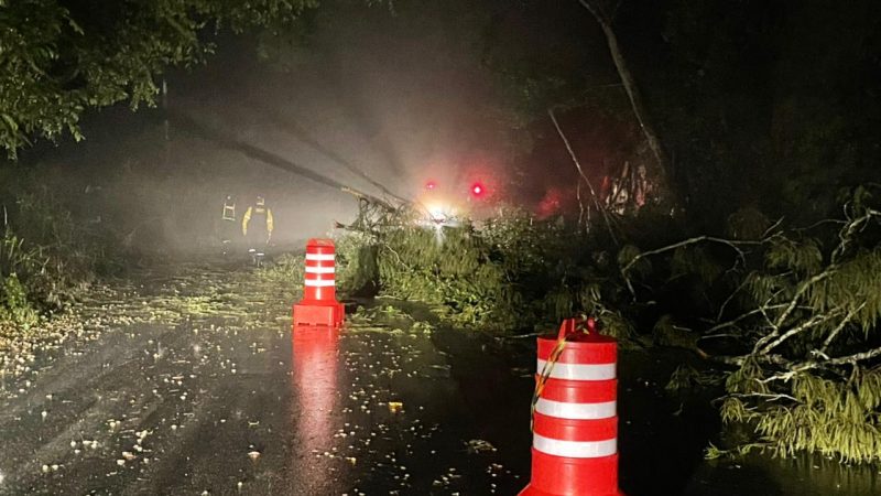 Força das chuvas voltam a provocar danos em Palmeira dos Índios