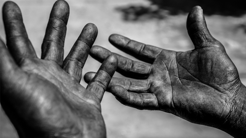 Operação resgata 337 trabalhadores de condições análogas à escravidão